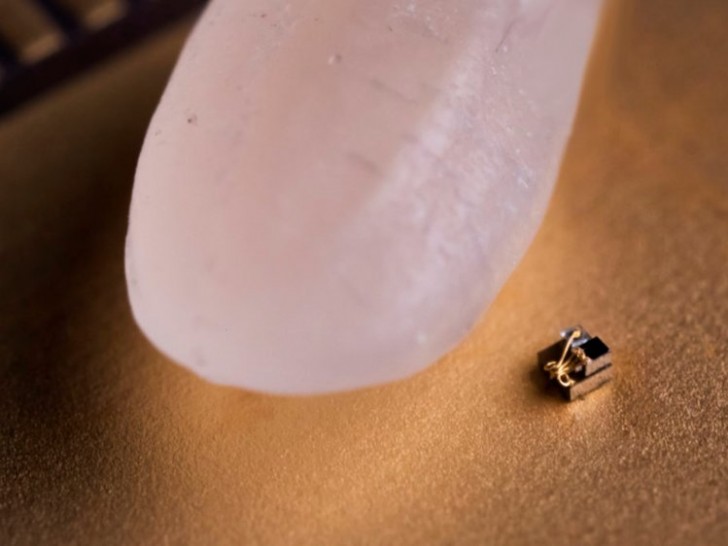 11. Il computer più piccolo del mondo è stato messo a confronto con un chicco di riso: le sue dimensioni sono davvero impressionanti.