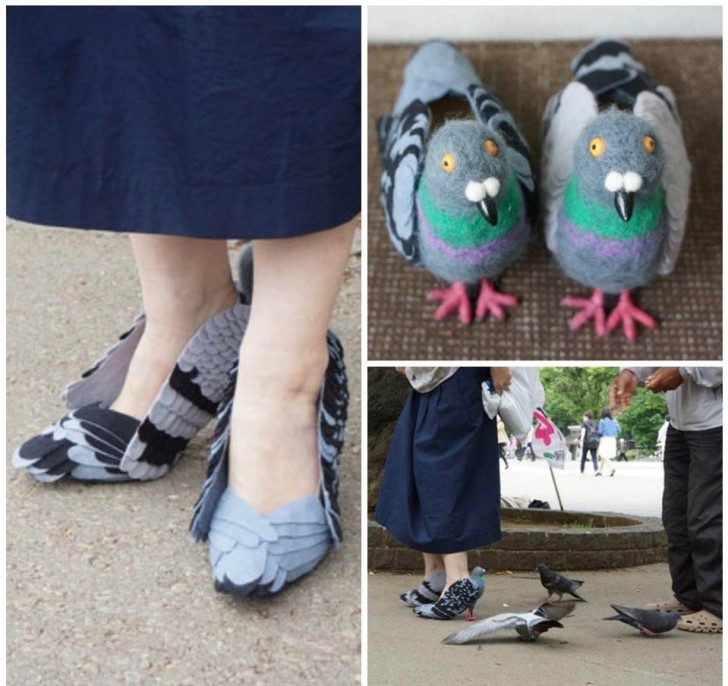 Ein Paar Schuhe, das viele Vögel lieben werden!