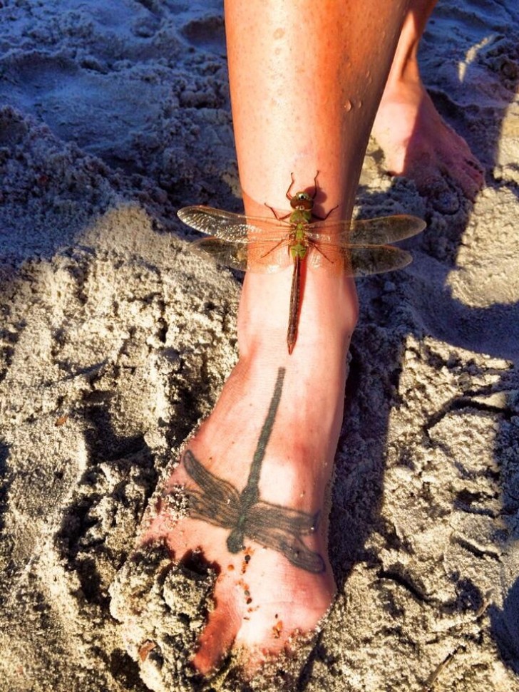 12. Une libellule s'est posée sur le pied de la fille où une libellule de la même taille est tatouée.