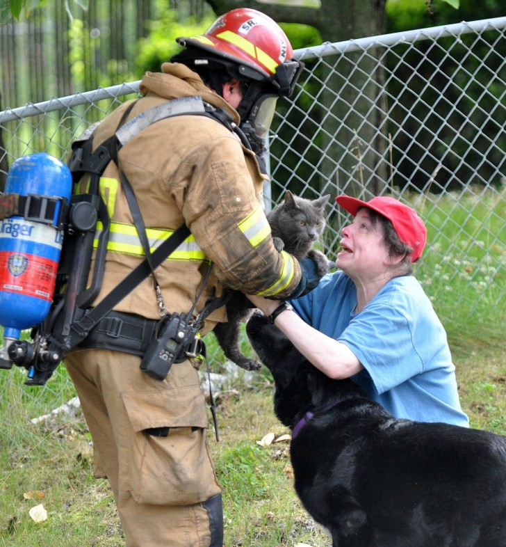 Ein großzügiger Feuerwehrmann hat die geliebte Katze dieser Frau gerettet; sie wird ihm nie genug danken können!
