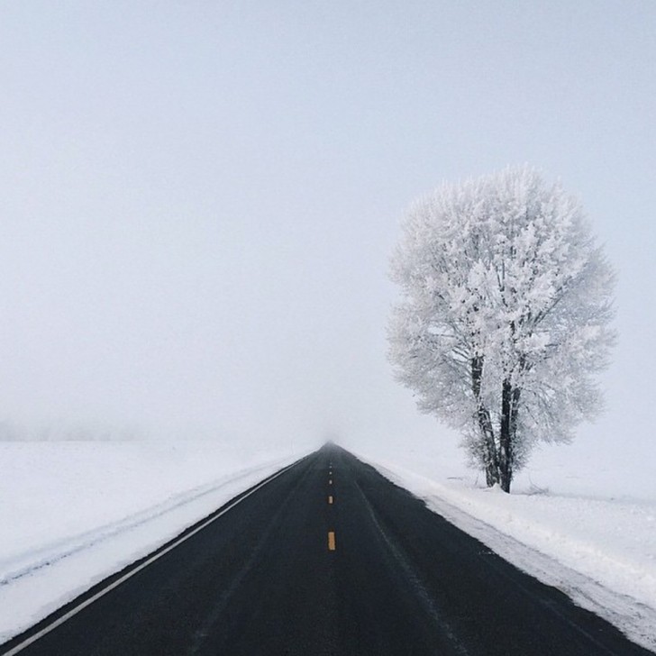 Vägen har rensats helt på snö: kontrasten mellan den vita ytan och den svarta på vägen är avslappnande.