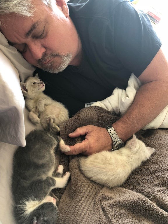 15. L'homme s'est endormi avec deux chatons à côté de lui : l'un le regarde et l'autre lui tient le doigt. Ils sont adorables !