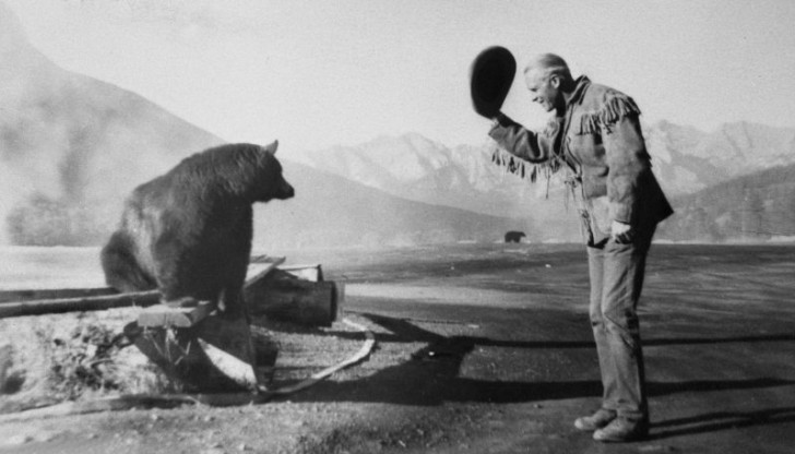 5. La photo a été prise au parc national de Banff en 1950 : Conrad O'Brien-french salue un ours d'un geste élégant.