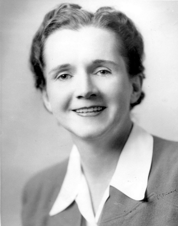 4. Rachel Carson (1907-1964) : biologiste et zoologiste américaine, elle a lancé le mouvement environnemental et a changé notre façon de concevoir l'environnement.
