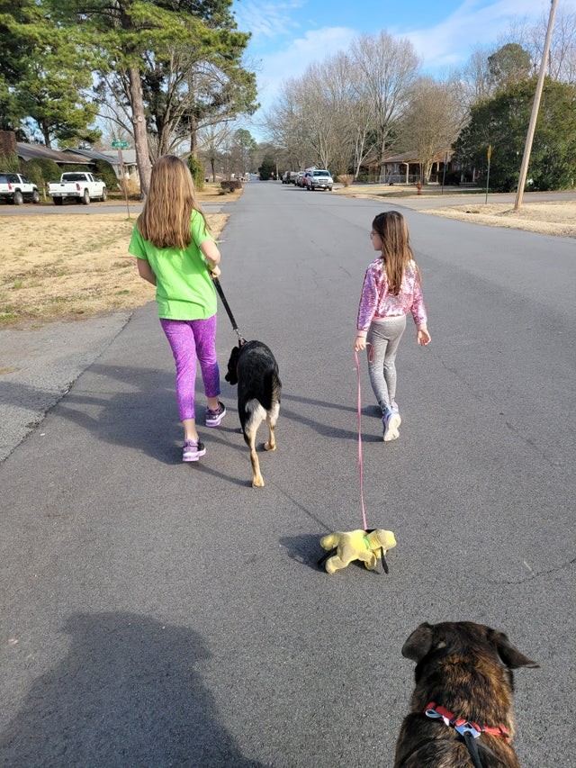 Quería también ella llevar de paseo al perro. Pero que no tiene.