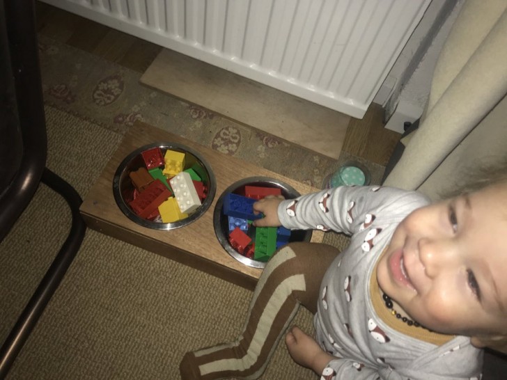 ¡El perro tenía hambre y mi hijo justamente pensó poner en sus recipientes los LEGO!