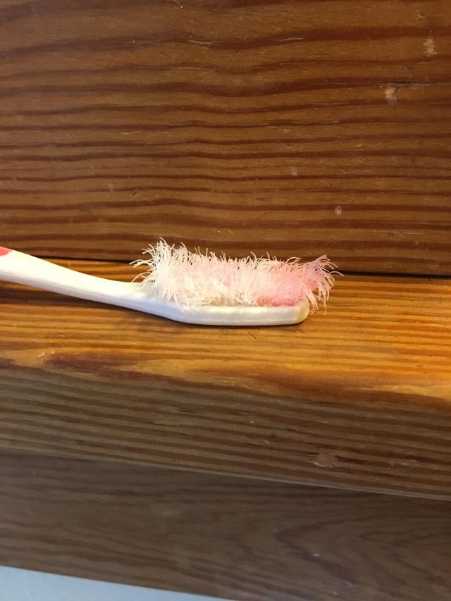 7. Voici les conditions de la brosse à dents de mon colocataire...