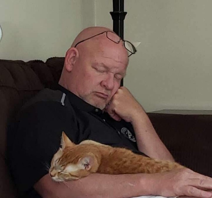 He said he didn't like cats, now he falls asleep every night on the couch with him!