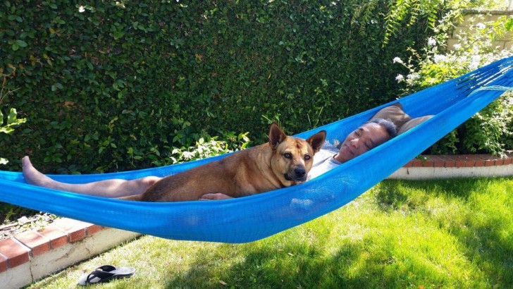 Pas de chien à la maison, mais sur le hamac, oui !