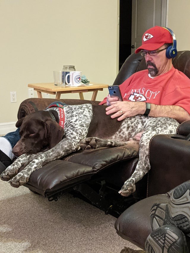 They do everything together now, even relaxing on the sofa together!