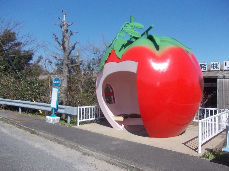 Här befinner vi oss i Japan: busshållplatsen är perfekt för dem som älskar naturliga produkter!