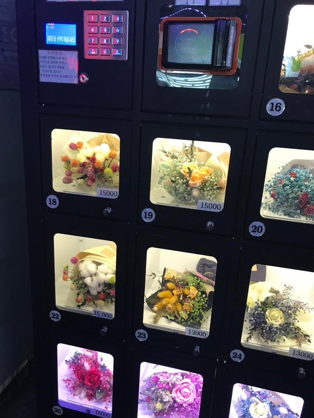 2. Für diejenigen, die einfach nicht am Blumenladen vorbeigehen können, gibt es hier Automaten ... mit Pflanzen und Blumen!