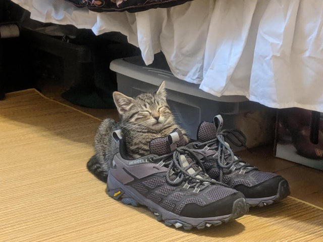 18. "Ah mom's shoe is so comfortable!"