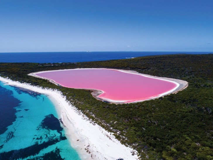 2. Questo è un lago salato dell'Australia occidentale ed è naturalmente rosa: non si vede spesso una cosa così bella.