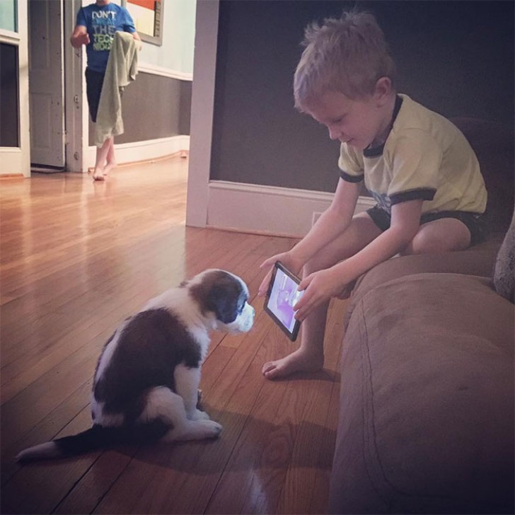 1. "Here is my son showing his favorite cartoon to the puppy ..."