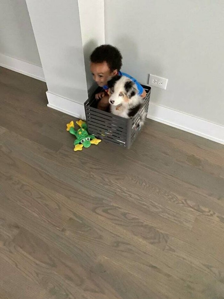 11. Un enfant et son fidèle petit chien : l'essence du bonheur contenue dans une seule photo !