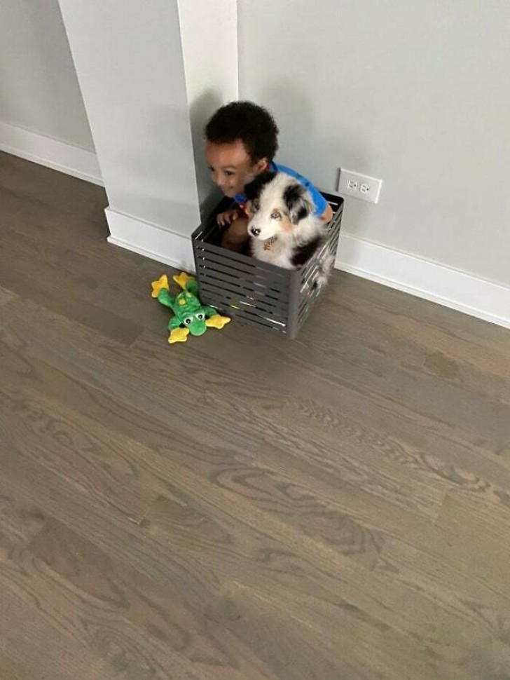 11. Un niño y su fiel perro: ¡la esencia de la felicidad encerrada en una sola foto!