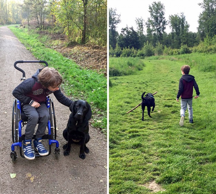 14. "För åtta månader sedan fick vi vår son en terapihund. Vår son var mycket beroende av rullstolen. Vi hoppades att hunden skulle hjälpa honom att bli starkare och bli av med stolen. Jag tror att de klarade det tillsammans! "