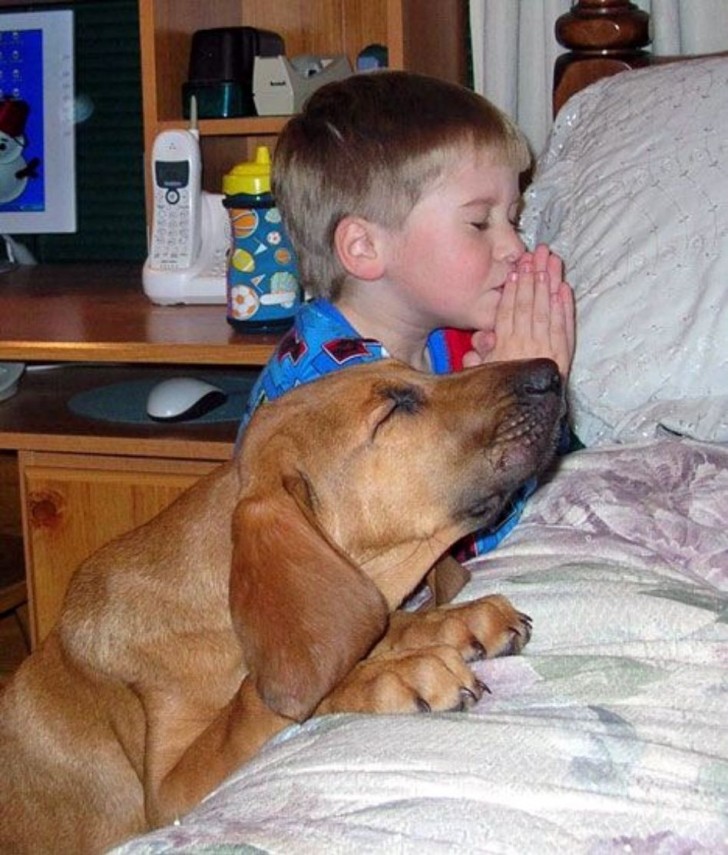 2. También el momento de la oración es diferente si hay un amigo de cuatro patas haciéndonos compañía