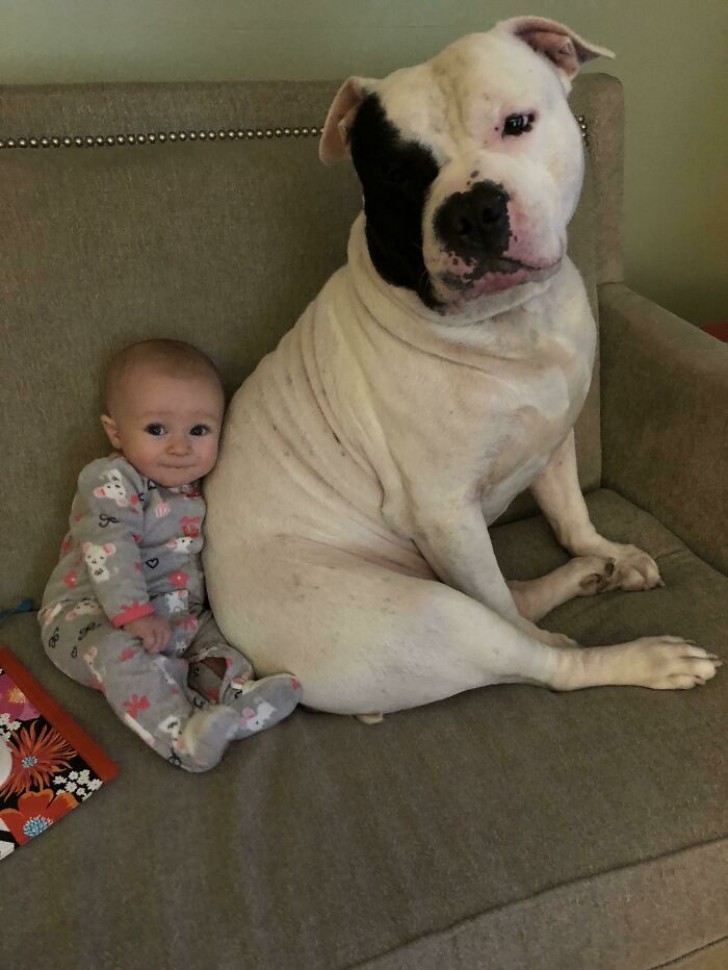 5. "This is the dog my mother saved. He and my daughter are best friends. Here I captured them while they watched Peppa Pig ..."