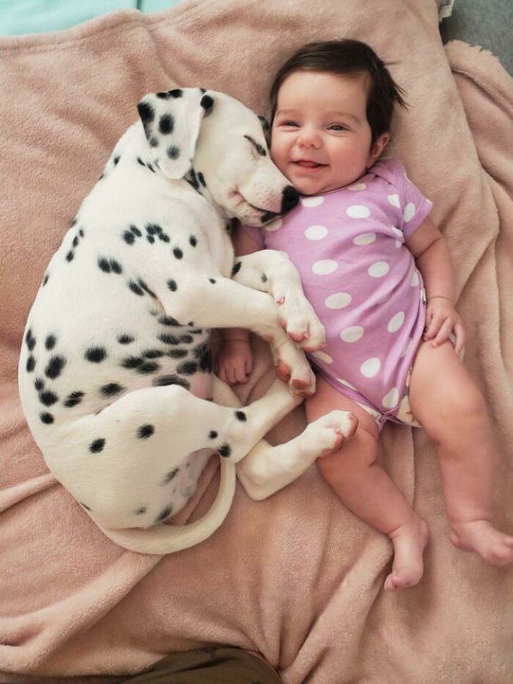 8. "Minha sobrinha e seu novo cachorrinho já são melhores amigos... eles também têm a mesma "roupa" de bolinhas!"