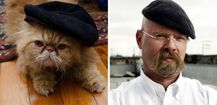9. Il gatto con i suoi lunghi baffoni e il cappellino assomiglia incredibilmente a Jamie nel programma Mythbusters.