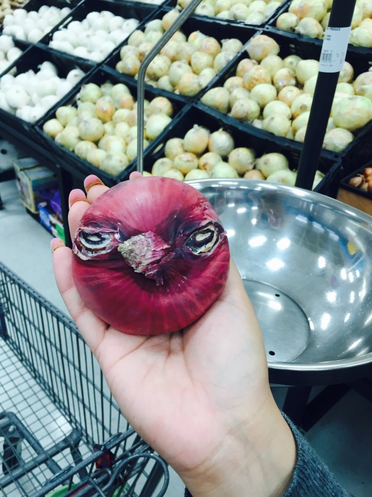 10. Questa cipolla ha l'espressione di un uccello arrabbiato: ha gli occhi semichiusi e un becco prepotente.