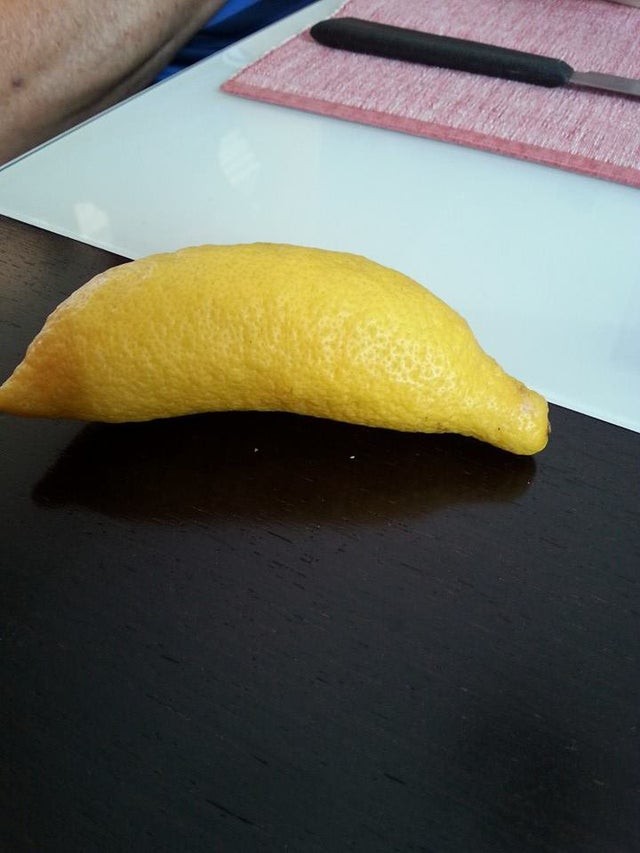 11. Le citron a la forme d'une banane : avez-vous déjà vu un citron aussi allongé ? La nature nous émerveille sans arrêt.