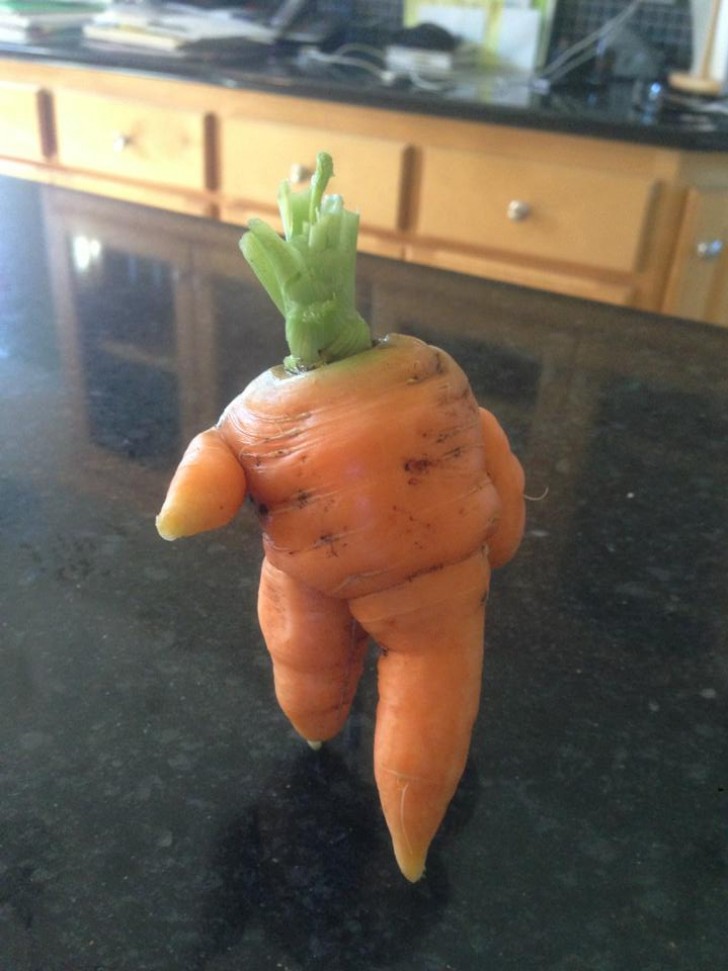 13. Anche questa carota ha vita propria e sembra aver appena iniziato una passeggiata, ha anche le braccia!