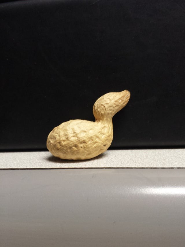 8. Questo guscio di arachide assomiglia in maniera incredibile ad un'anatra: ha il busto, il collo e il becco identici.