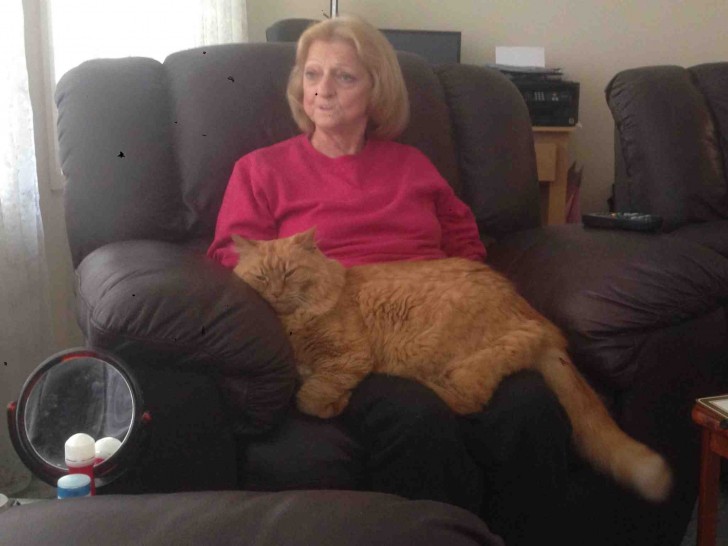 Grandma doesn't look happy about the weight of this cat on her!