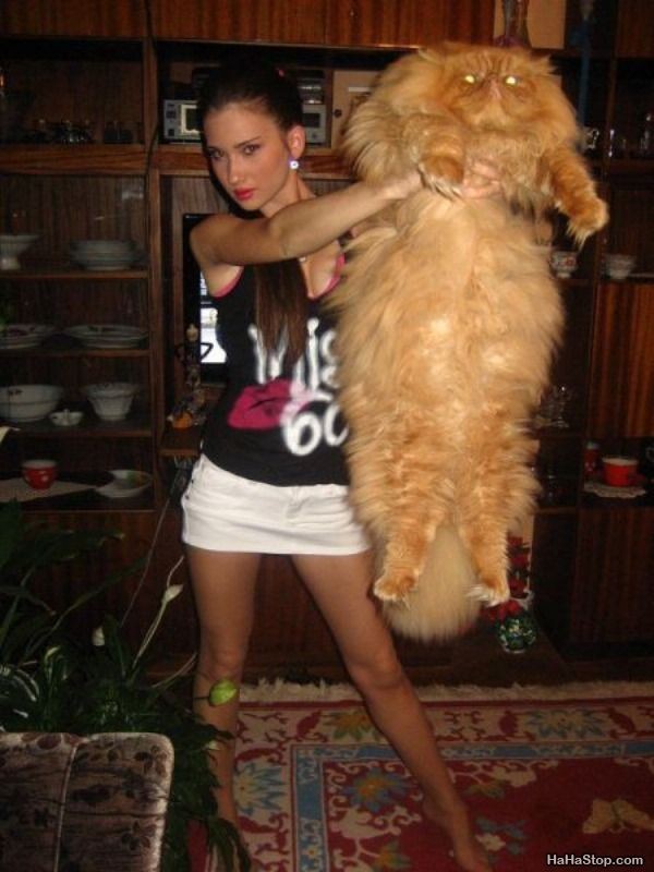 J'ai fait travailler mes muscles pour prendre cette photo avec mon gros chat !