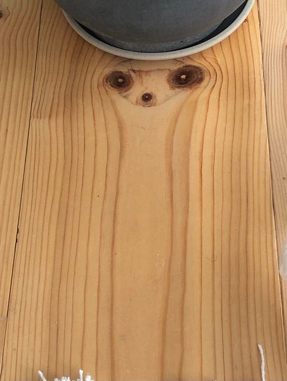 11. Dans cette table en bois, il y a ceux qui ont vu Sid, le drôle personnage de 