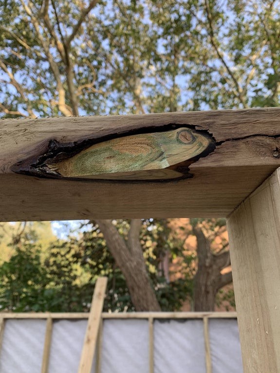 12. Su questo pezzo di legno sembra invece essere stata scolpita una rana: dall'espressione sembra che stia dormendo.