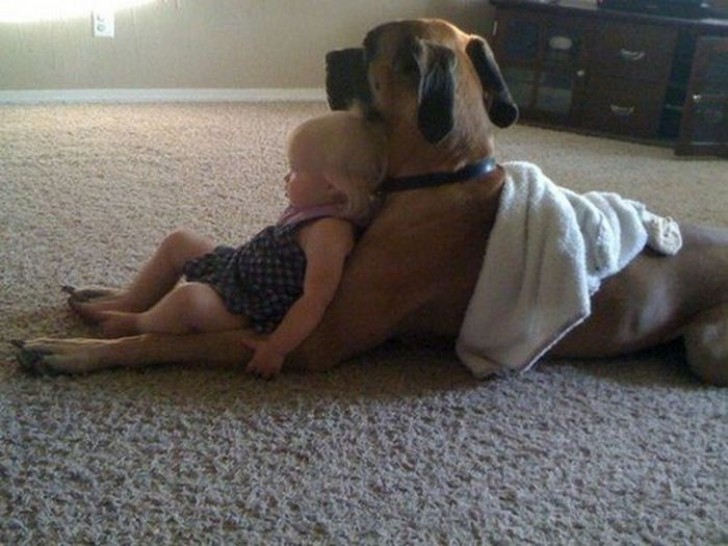 El niño no mira jamás la televisión si no está junto a su perro del corazón...