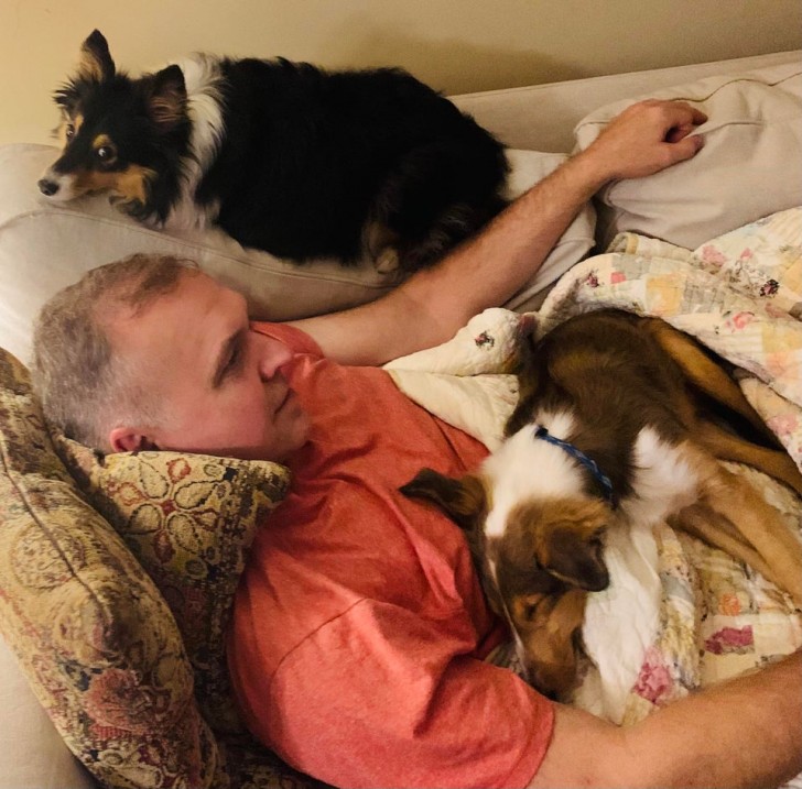 Circondato dai cani, anche quando dormo!