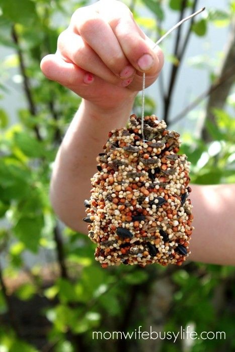 9. Ein wenig Erdnussbutter und verschiedene Samen und hier ist ein Geschenk für die Vögel im Garten