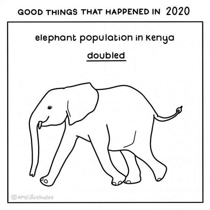 1. La popolazione degli elefanti in Kenya è raddoppiata