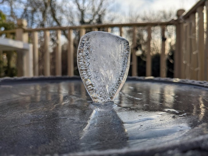 2. Une magnifique sculpture de glace