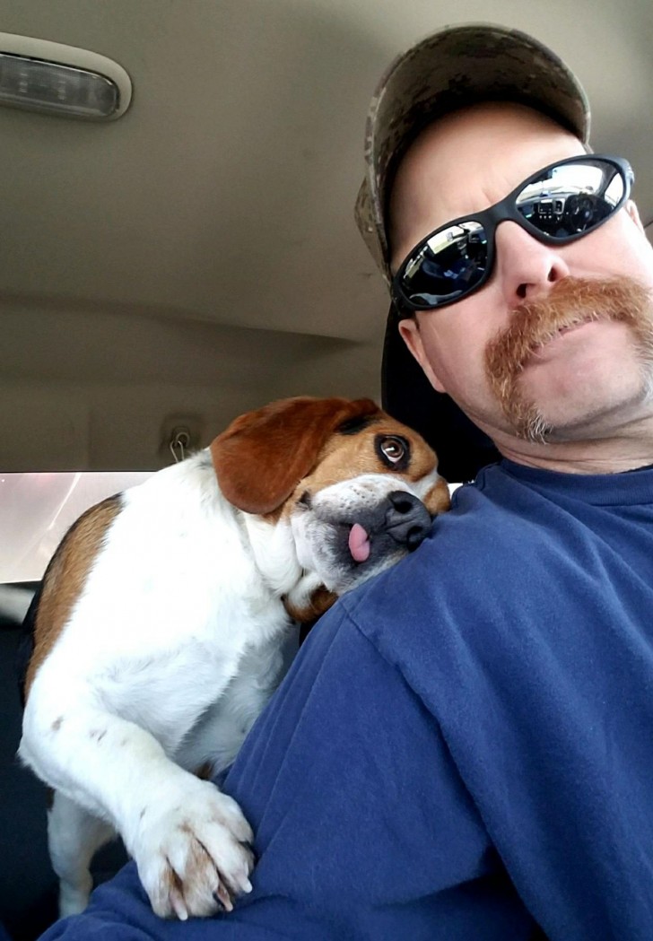 Look at the grateful look from this dog who was just saved from the shelter ... what sweet eyes!