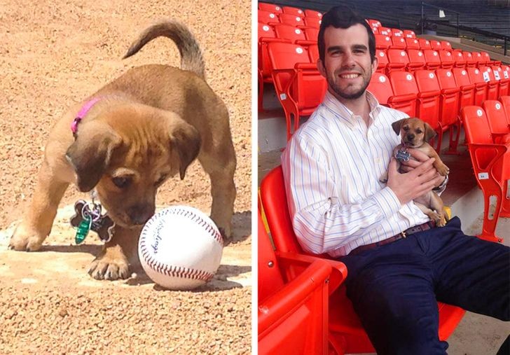 ¡Un perro juguetón que finalmente encontró a su humano del corazón!