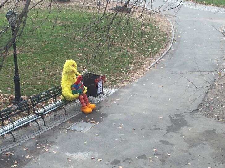 Un'immagine che mostra più di tante altre uno stato d'animo: la solitudine...