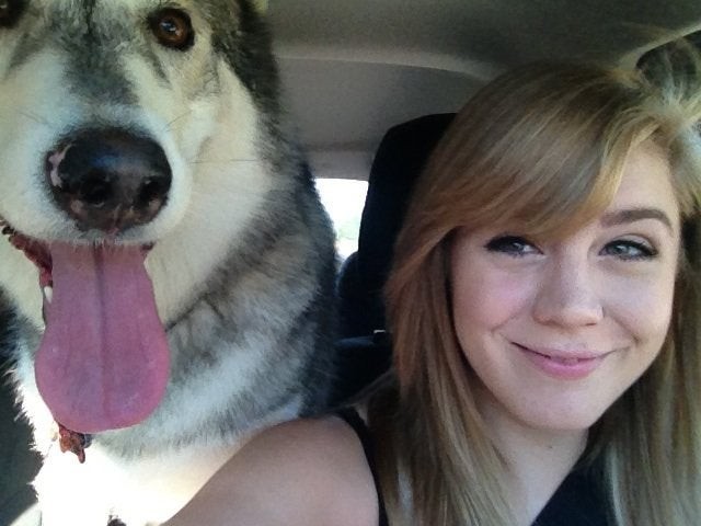 6. Is it possible to drive safely with a Husky breathing over your shoulder?