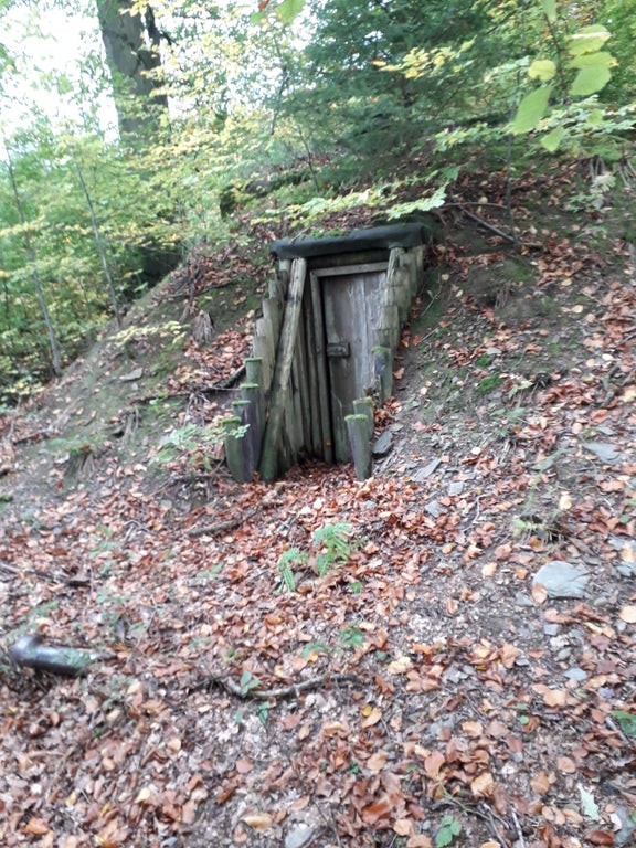 9. Eine Person hat diese Tür in einem Wald entdeckt.