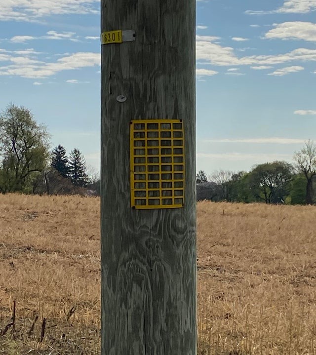 13. Cette grille jaune se trouve souvent sur les poteaux ou les lampadaires.
