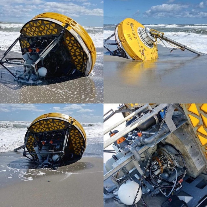 8. Dieses Objekt wurde an einem Strand in Florida gefunden, aber was ist es?