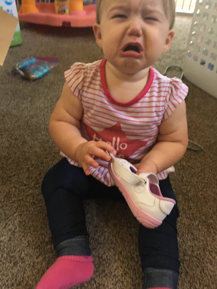 "Her reaction when I didn't let her eat her shoe ..."