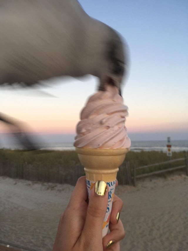 10. Quando perdi tempo a fare le foto al cibo che hai appena ordinato...e poi arriva un gabbiano a tradimento!