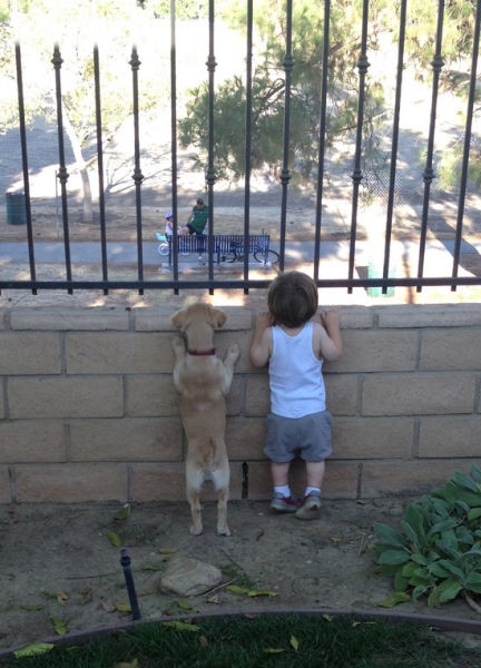 13. They're watching the bicycles in the park.