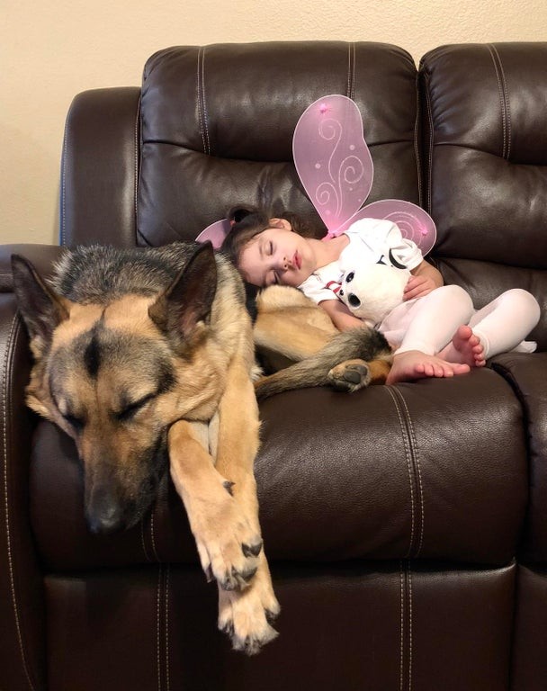 4. La zampa del cane è un cuscino comodissimo.